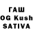 БУТИРАТ BDO dawn conatser