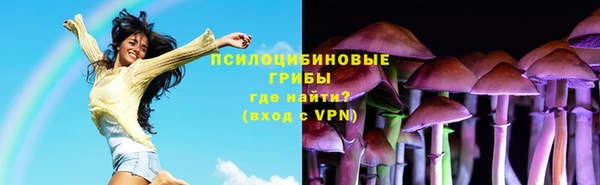 шишки Кулебаки