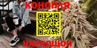 прущие крисы Ирбит