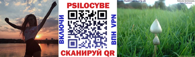 Галлюциногенные грибы Psilocybine cubensis  Лесозаводск 