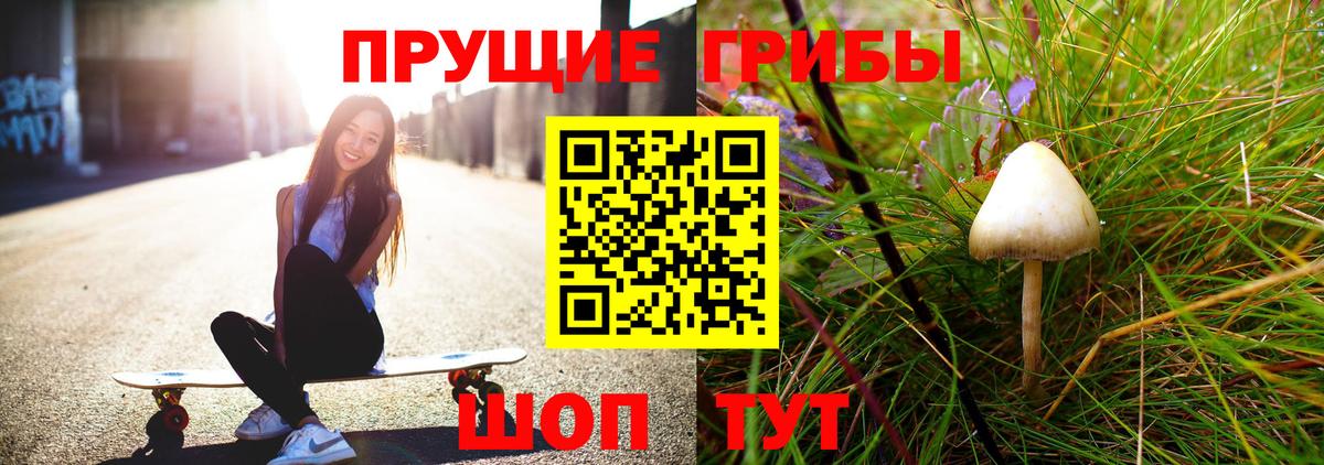 Псилоцибиновые грибы Cubensis Лесозаводск